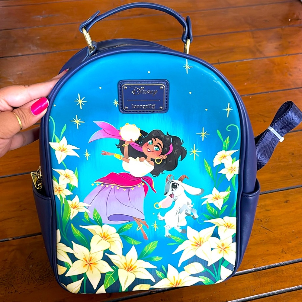 Esmerelda hunchback Disney loungefly